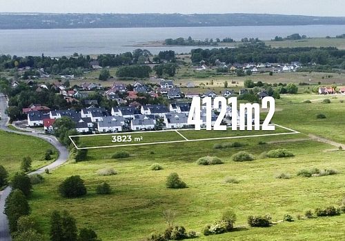 zdjecie