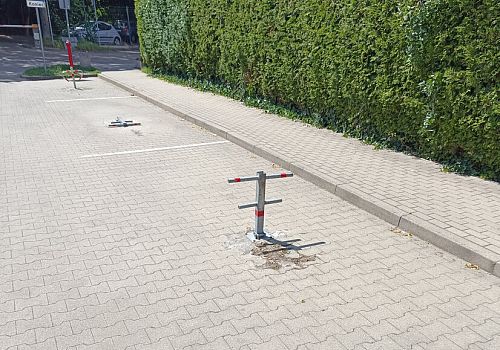 zdjecie
