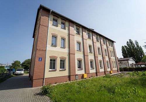 zdjecie