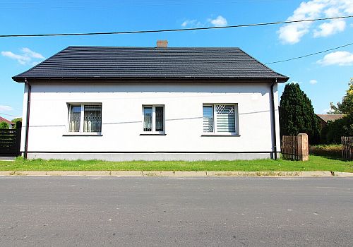 zdjecie