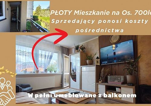zdjecie