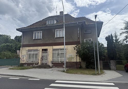 zdjecie