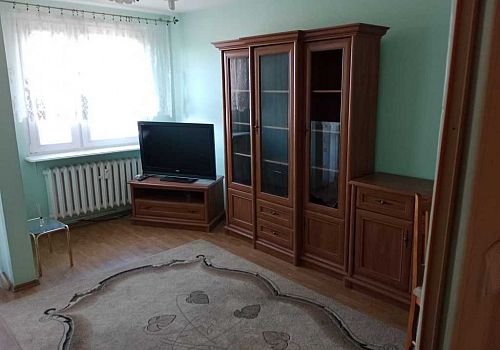 zdjecie