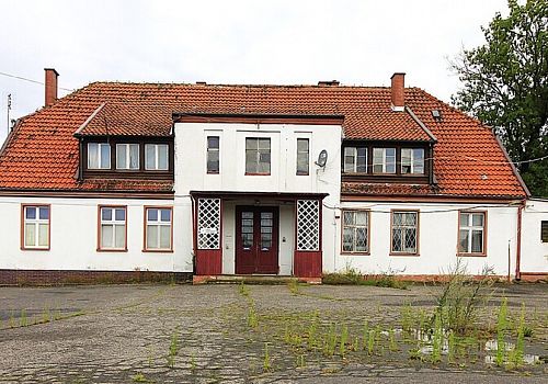 zdjecie