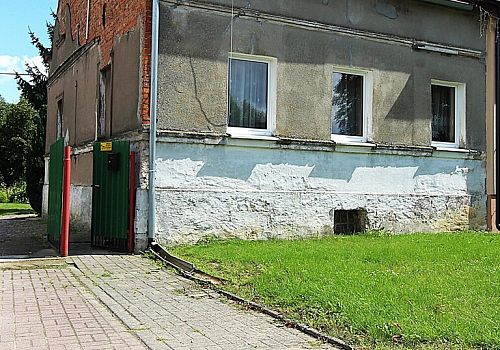 zdjecie