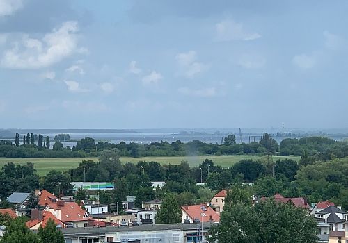 zdjecie