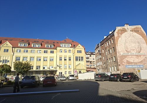 zdjecie