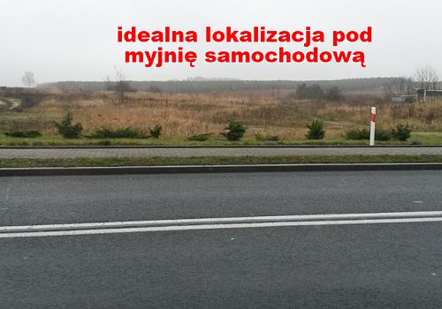 zdjecie