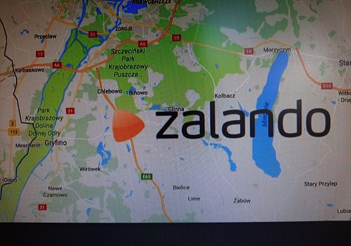zdjecie