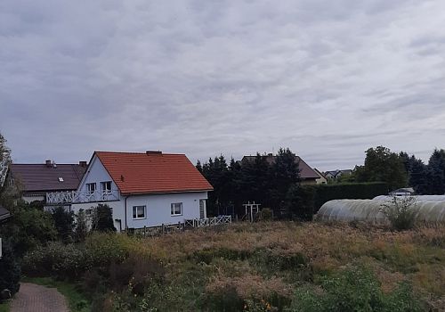 zdjecie