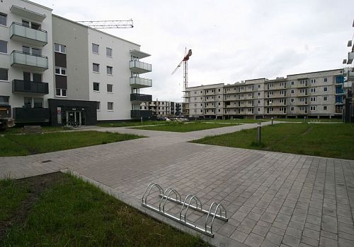 zdjecie