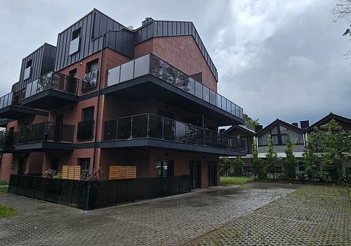 zdjecie