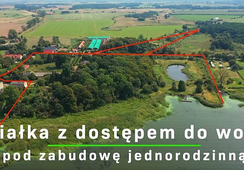 zdjecie