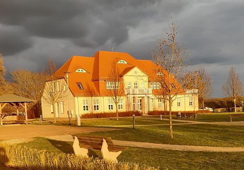 zdjecie