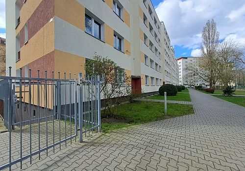 zdjecie